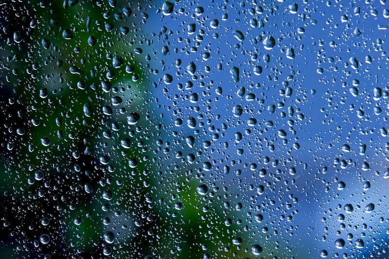 Guide complet 2026 : installer facilement votre système d'irrigation goutte à goutte
