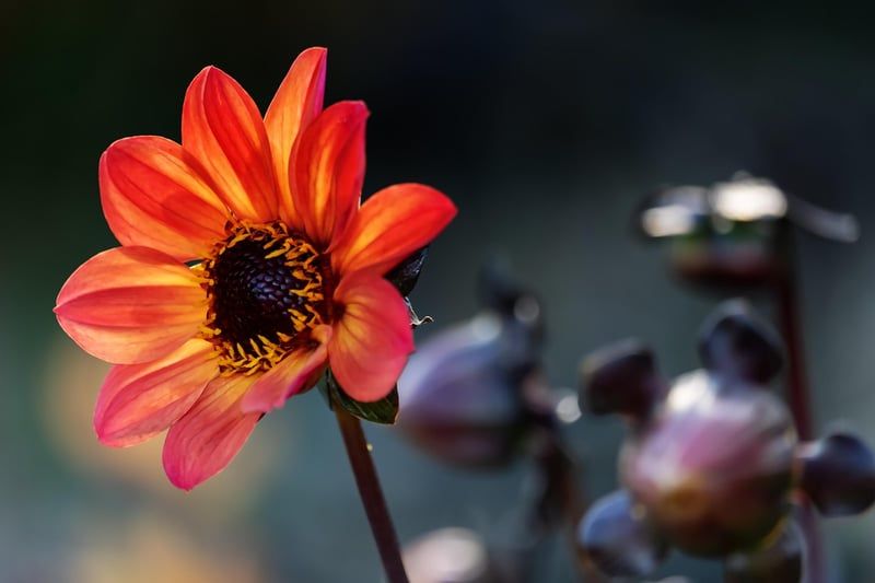 Fabriquer un composteur de jardin écolo avec des matériaux recyclés en 2026